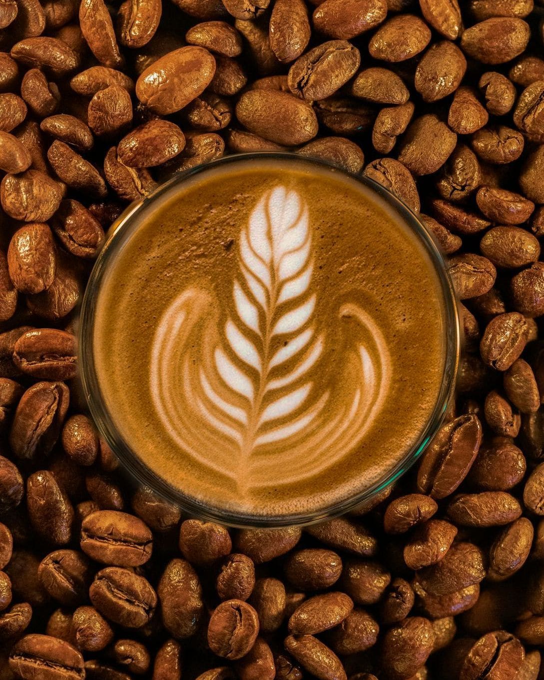 Carroux Kaffeerösterei 9